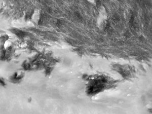 Transmission electron microscopy of mouse lamellar bone at the mineralising front